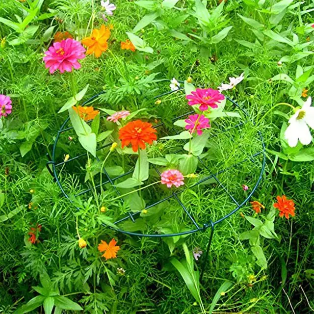 Virág Tartógyűrű Hasznos Szilárd Fém Bazsarózsavartótámogatás A Kerthez - Image 3