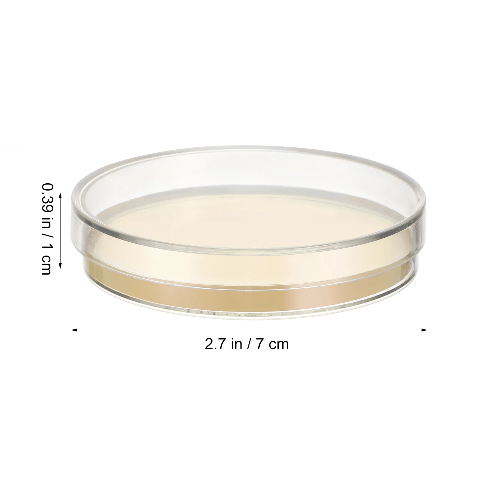 10pcs Prepoured Agar Plates Nutrient Agar Plate 7cm Petri Dishes with Laboratory Powder Prepoured Science Experiment Supply