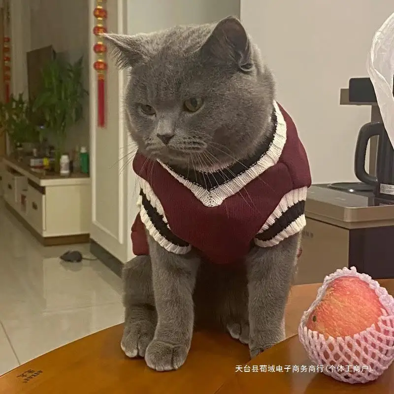 Pet Solid Costume Cat Clothes Autumn Winter Jacket Christmas Sweater for Small Dog Cats Kitten Clothing Puppy Vest Kitty Outfit pet clothes