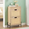 2 Flip Drawers Shoe Storage Cabinet with 1 Drawer, Rattan Shoe Organizer with Metal Legs, Shoes Cabinets 1