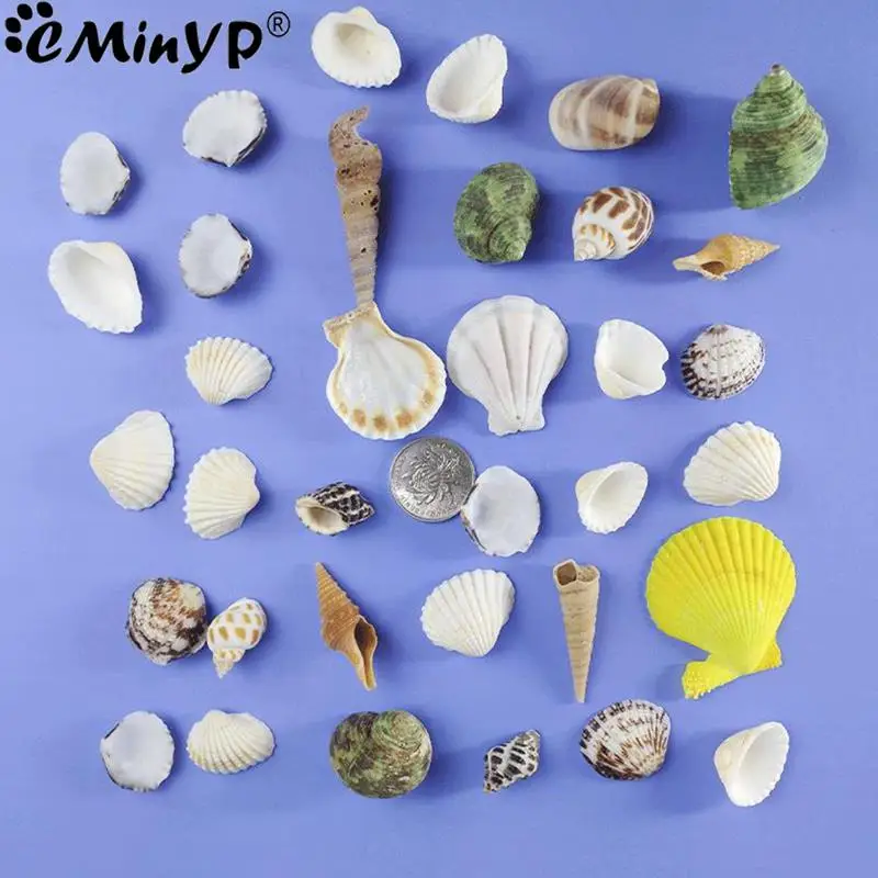 100g/bag Natural Mini Conch Mediterranean Mixed Real Small Sea Shells Nautical Ornaments for Fish Tank Aquarium Decoration