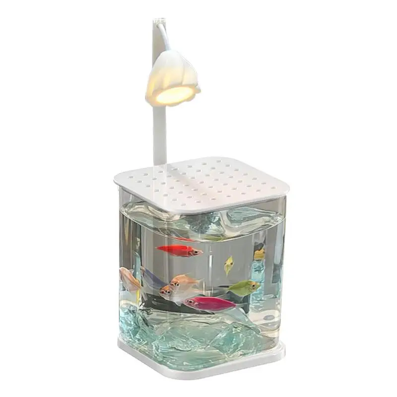 Compact Landscaped Glass Fish Tank with LED Light