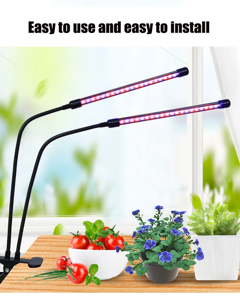 S335eb5e064c54ddba227c6a991e2d0a8T