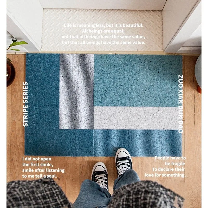

New INS Style Doormat Carpet PVC Anti Slip Mat Wire Ring Cutting Custom Home Mat Carpet Small Size Entrance Doormat