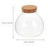 Round Glass Jar Cork Flower Plant Terrarium Micro-Landscape Ecological Bottle Crafts Container Landscape Bottle DIY Decorative 3