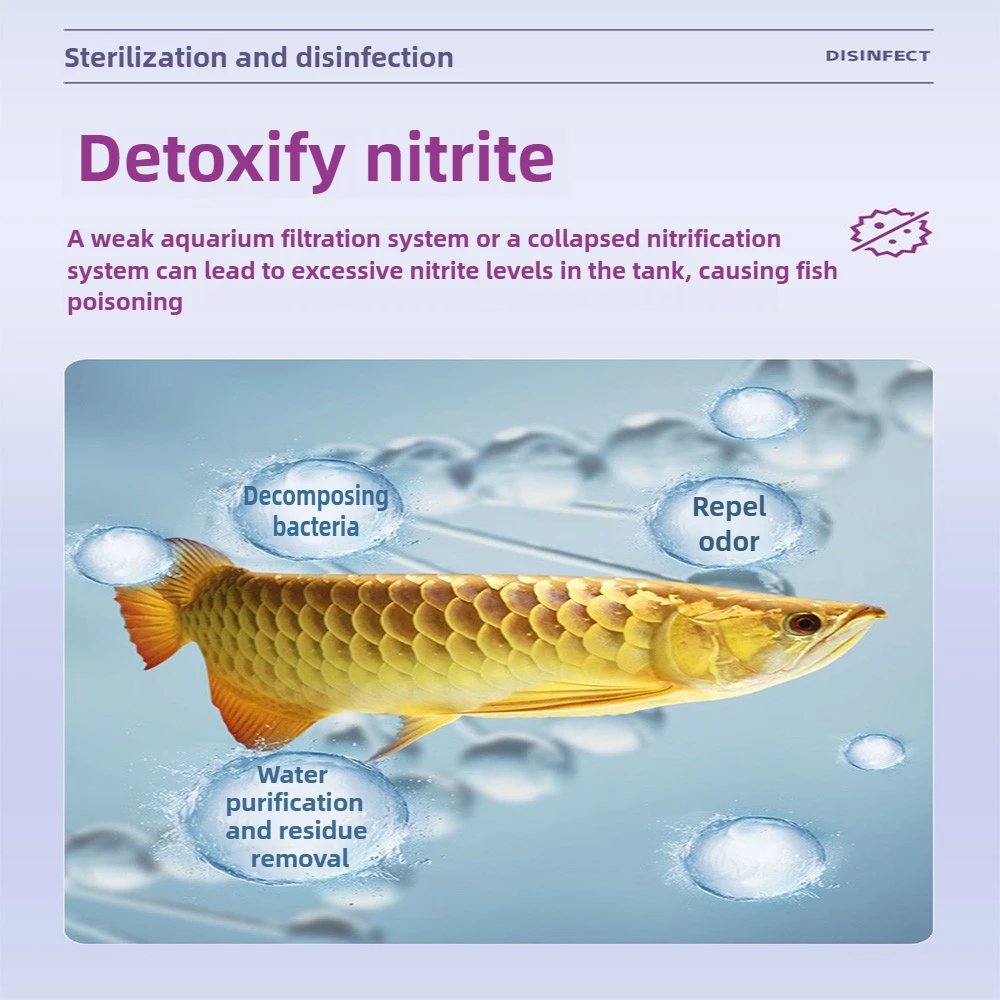 Methylene Blue Fish Treatment 5