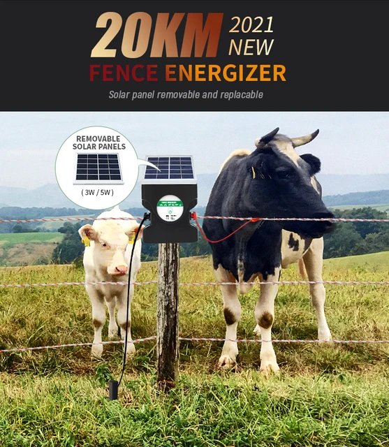 Électrificteur de clôture électrique solaire pour chevaux, porcs, vaches