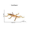 Leaf Insect