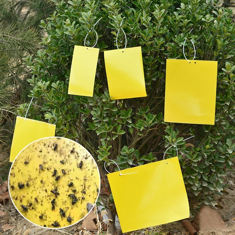 30-100PCS Insect Sticky Board Trap Yellow Double-sided Glue Sticker Fly Catcher Bugs Flpwer Potted Garden Pest Control Supplies Fruit Fly Trap Fly Trap Insect Traps Insect Catcher Insect Catching Sticker