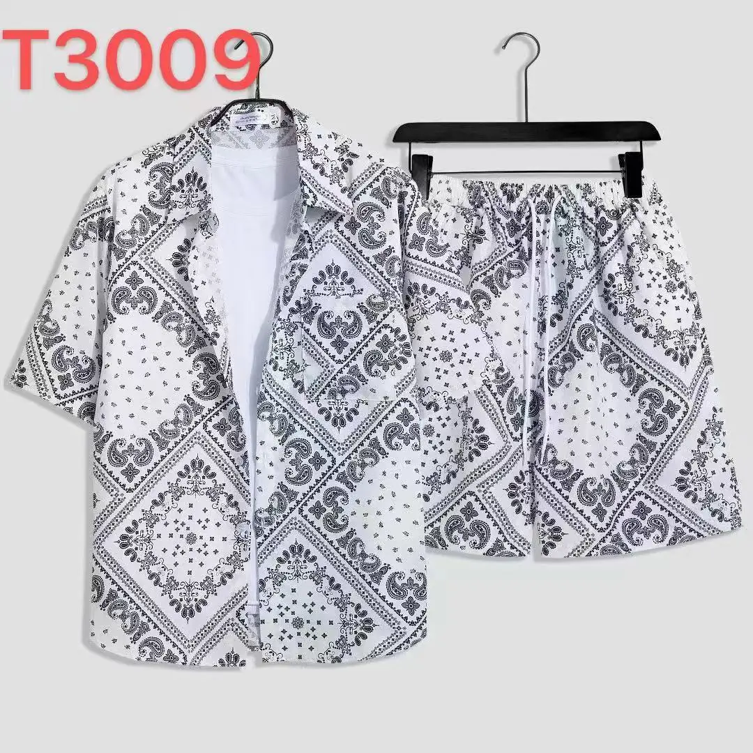 T3009白