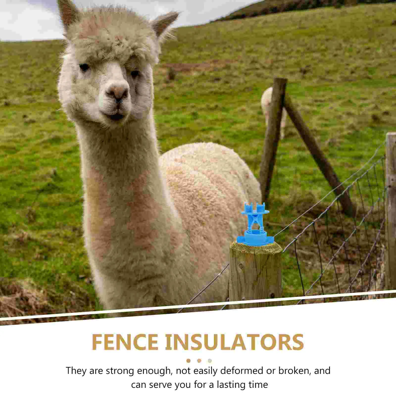 Electric Fence Insulator 50 Pcs Fence Insulator Livestock Wire Portable Post Grid Tool Pp Electric Part