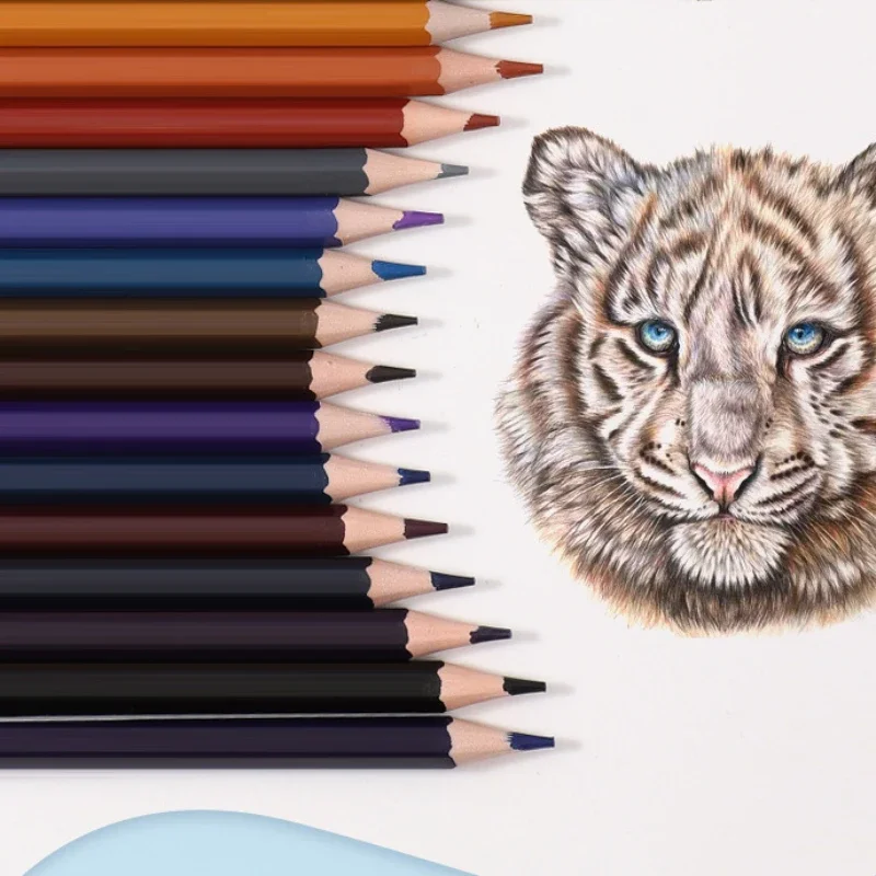 Color Pencils 12/24/48 Sets Erasable Oil-based Painting Sketching Student Supplies