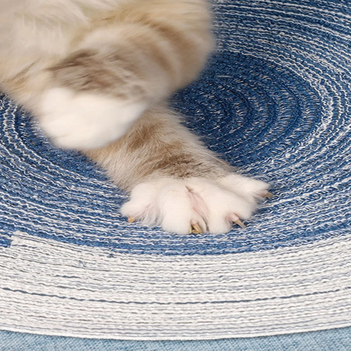 Indoor Cat Scratching Pad Board