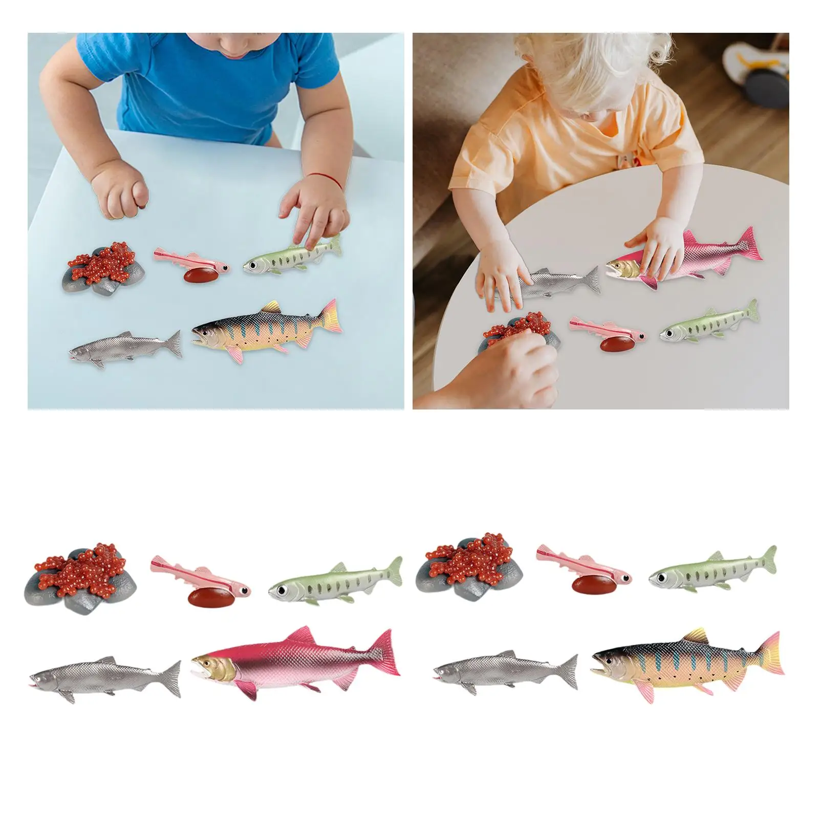 Life Cycle of Salmon Toys Teaching Tools Farm Animals Figurines for Storytelling Presentations Daycare Role Play Birthday Gifts 4