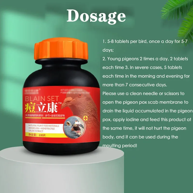 Pox Likang pigeon, homing pigeon, parrot, bird removal pigeon pox