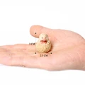 Hedgehog cub B