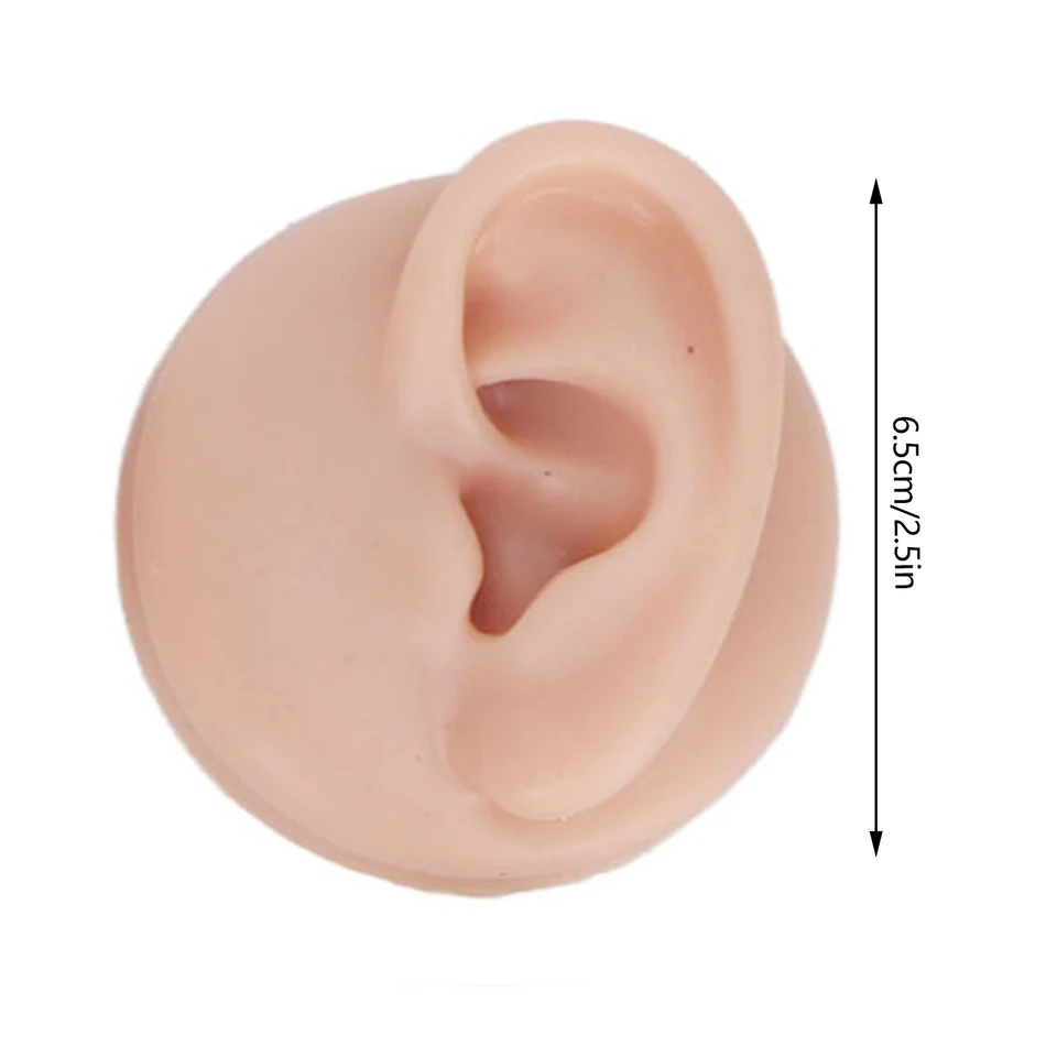 Silicone Body Model for Piercing Practice and Display