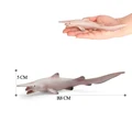 Goblin Shark-2