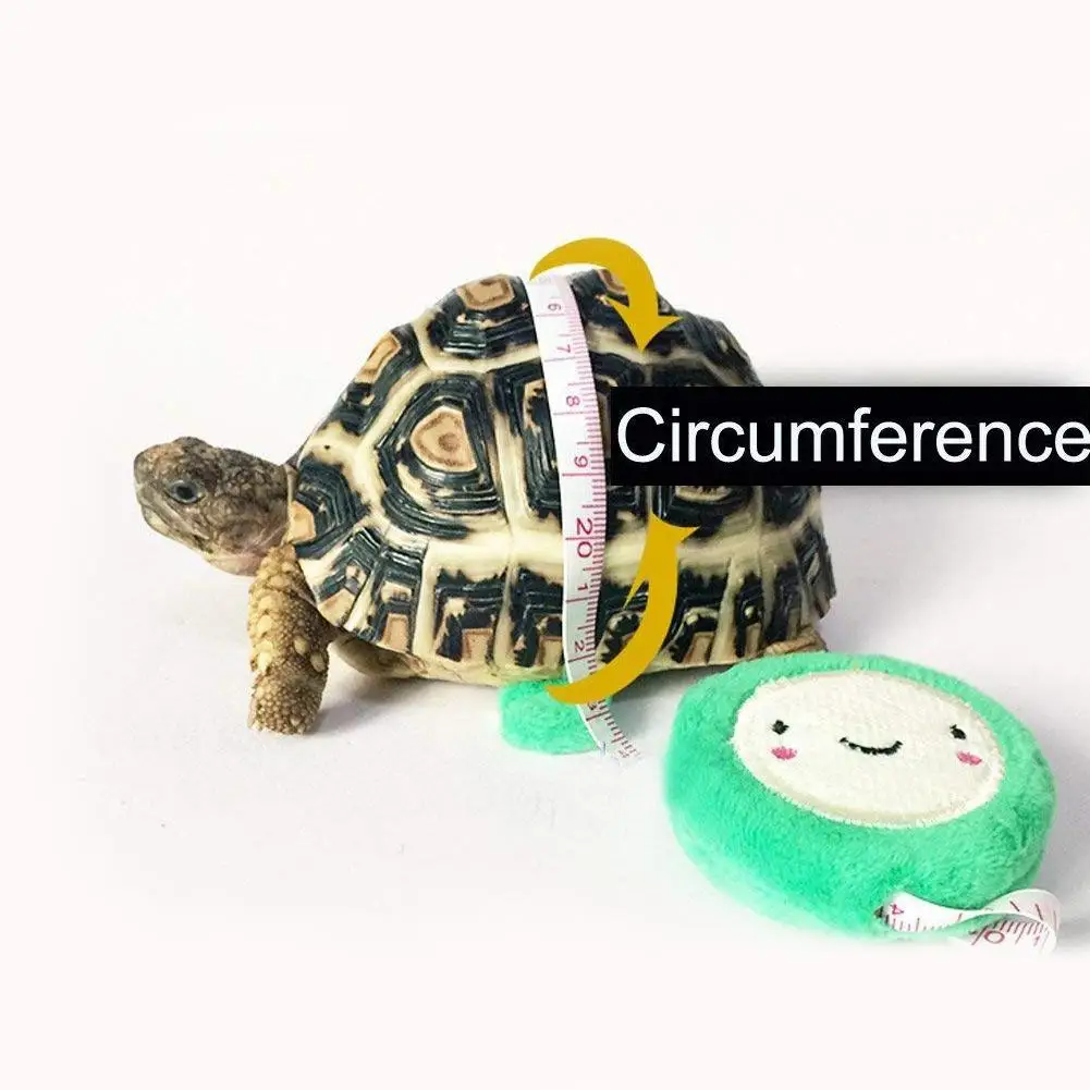 Pet Accessories Turtle Traction Belt Control Rope Adjustable Training Seat Belt Walking Pet Supplies For Brazilian Tortoise