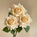 3PCS - champagne
