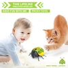 Fine Battery Powered Cockroach Trick Supplies Kids Favorite Party Favor 5