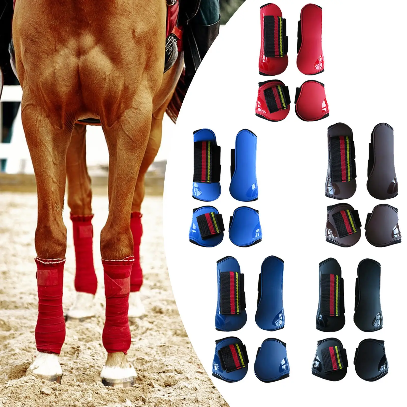 Horse Tendon Boots 4