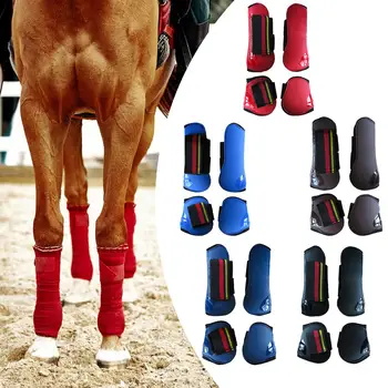 Horse Tendon Boots 4