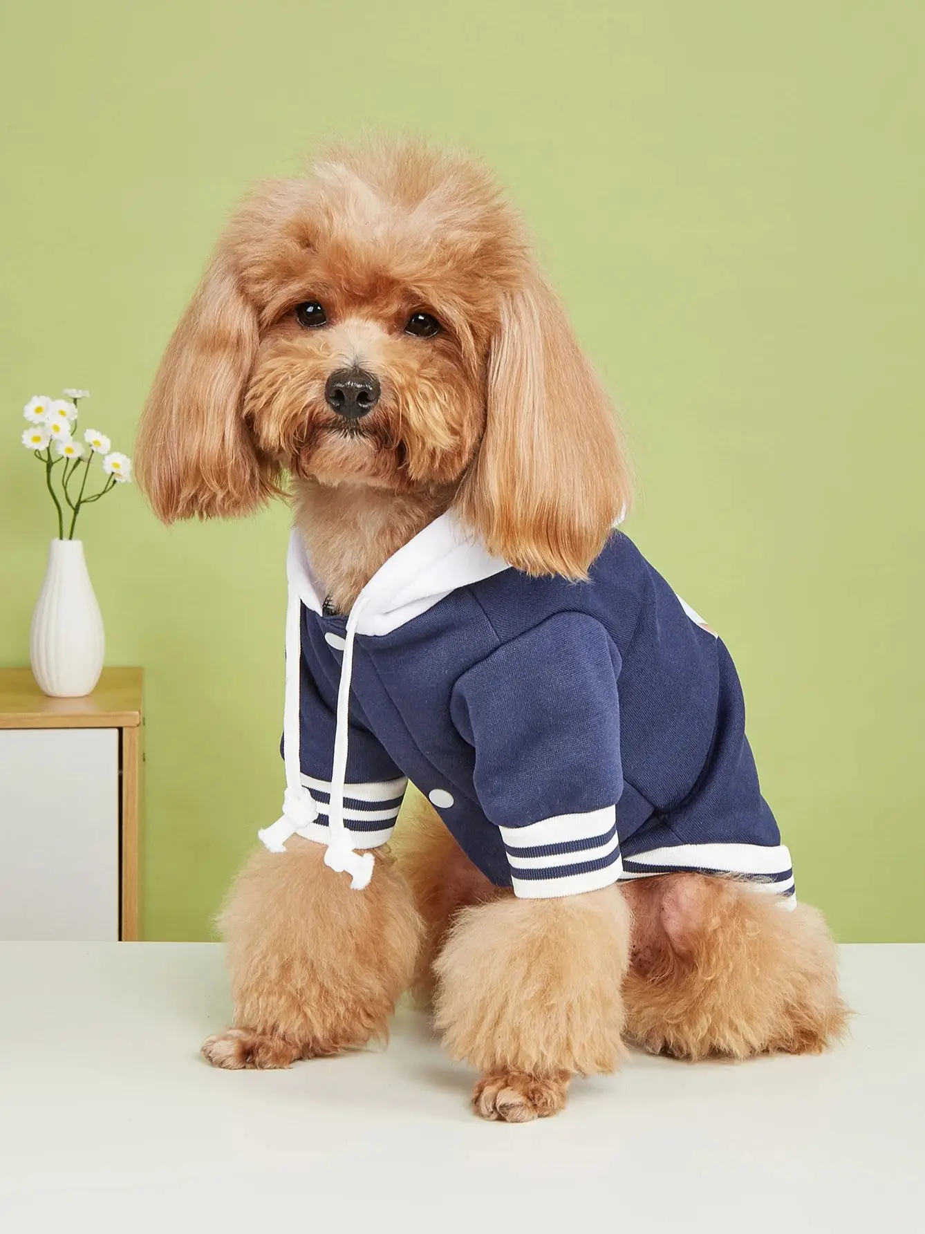 Dog & Cat Jacket with Hat 4