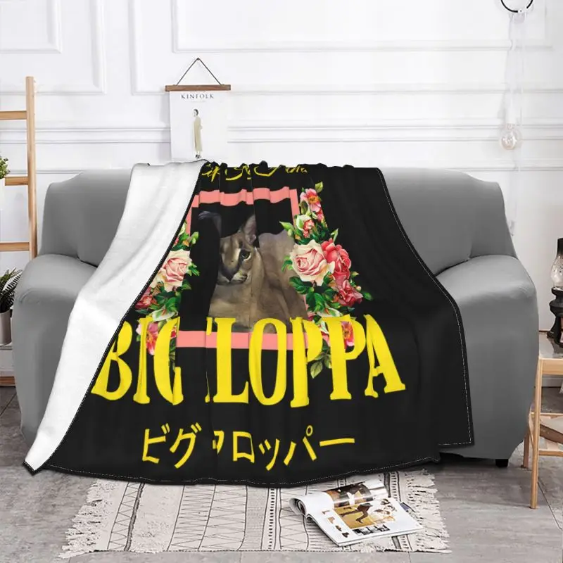 Caracal gato cobertores floppa animal flanela novidade macio lance cobertor  para cama lounge verão - AliExpress