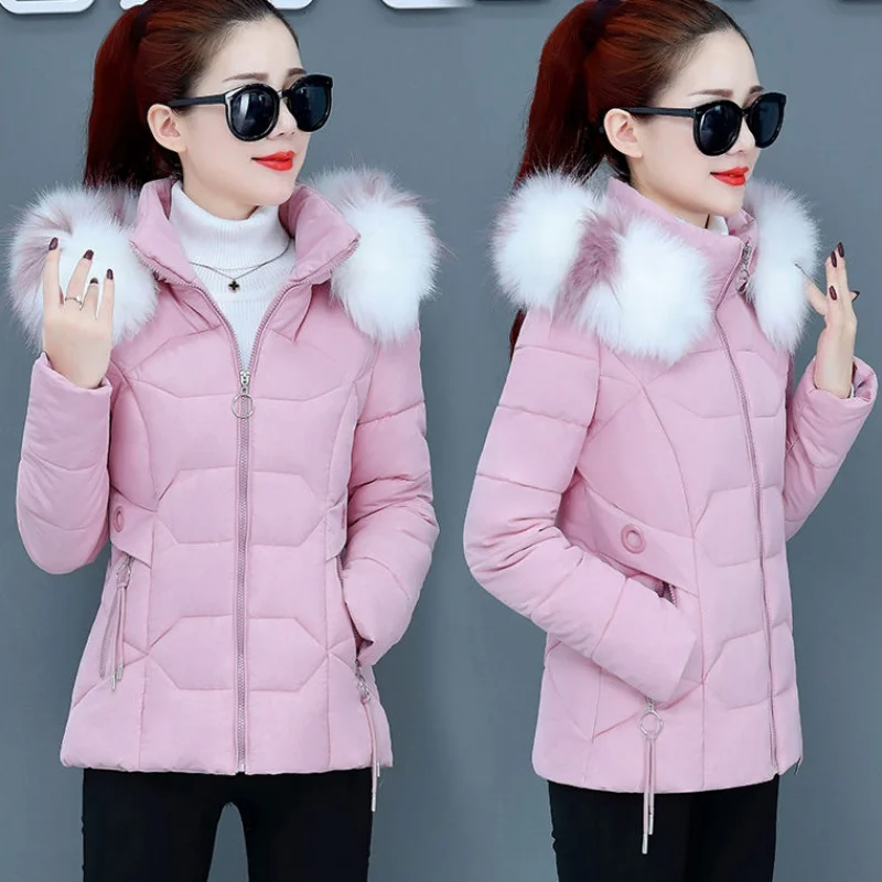 

Nice Winter Jacket Womens Parkas Thicken Outerwear Solid Fur Collar Hooded Coats Short Female Slim Cotton Padded H61