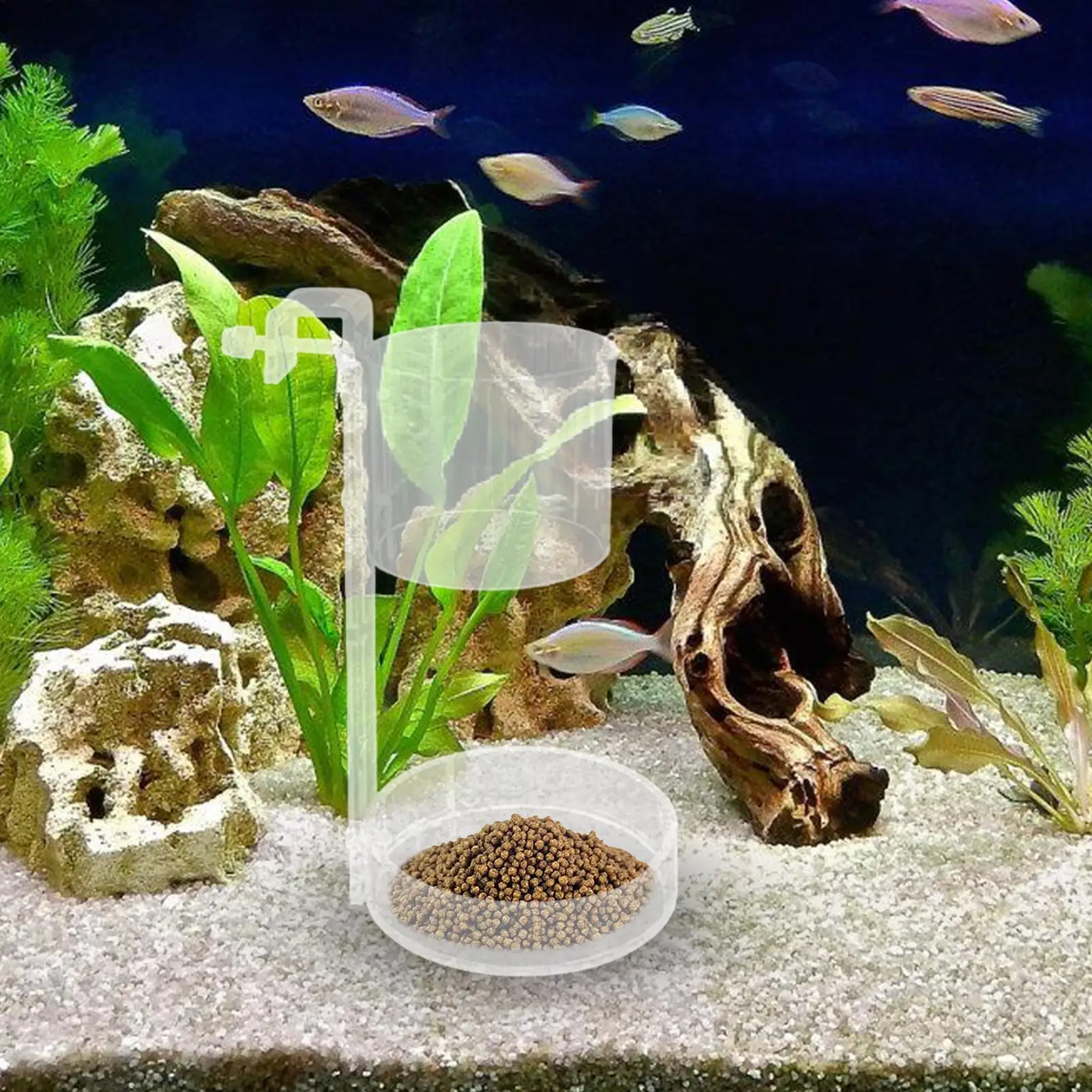 Transparent Acrylic Aquarium Feeder Dish Floating and Sinking Type Fish Tank Dish Tray Shrimp Food Feeding Bowl Accessories