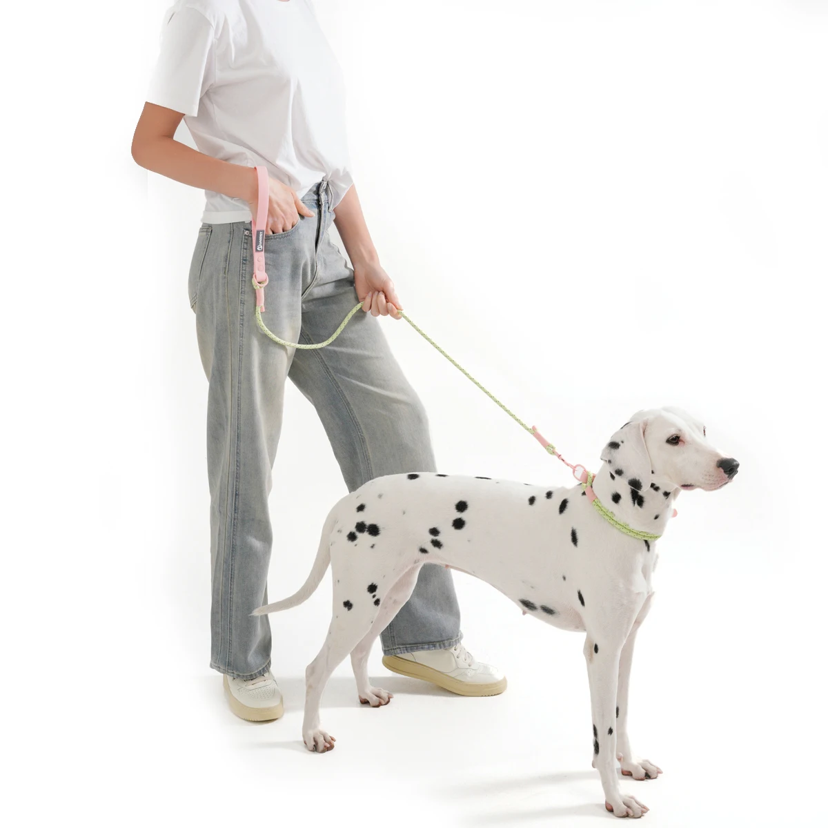 Pet Supplies Dog Collar For Small and Medium Dog Walking Sugar Color Series Cute style PVC Webbing Collar Leashes Set