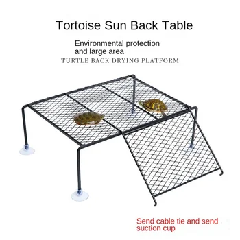 Turtle Climbing Platform 1