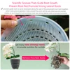 Meshpot Clear Plastic Orchid Pots with Holes and Saucers for Repotting Small Orchid Planters Root Control Orchid Transparent Pot 3