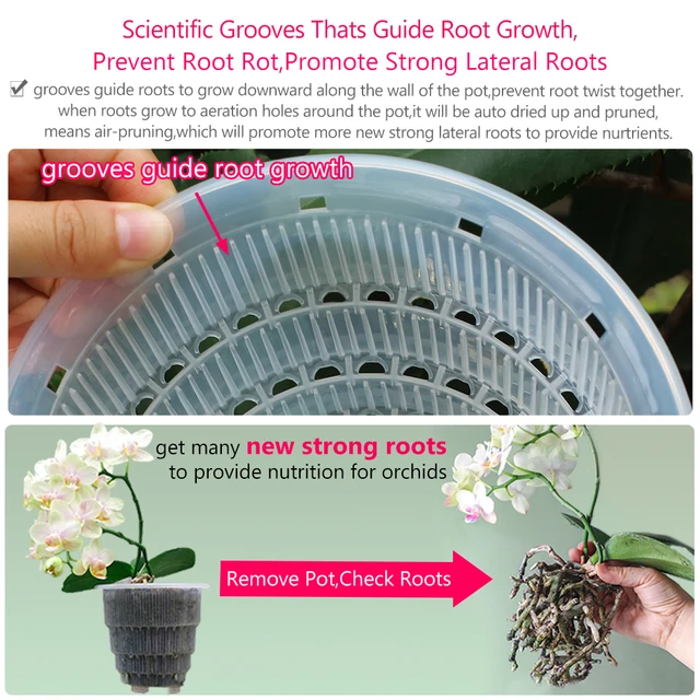 Meshpot Clear Plastic Orchid Pots with Holes and Saucers for Repotting Small Orchid Planters Root Control Orchid Transparent Pot 3