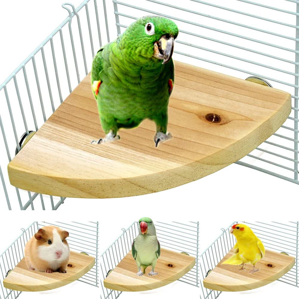 Parrot Bird Wood Perch Stand Platform Rectangle Fan-shaped Shelf Stand Board For Budgie Parakeet Cockatiel Hamster Gerbil Rat 2
