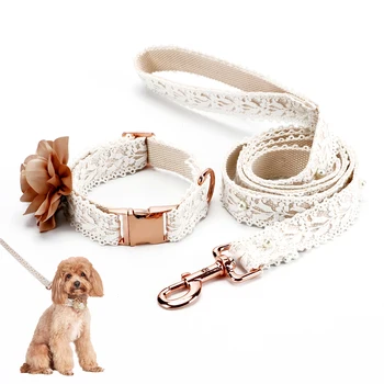 Collars & Leashes