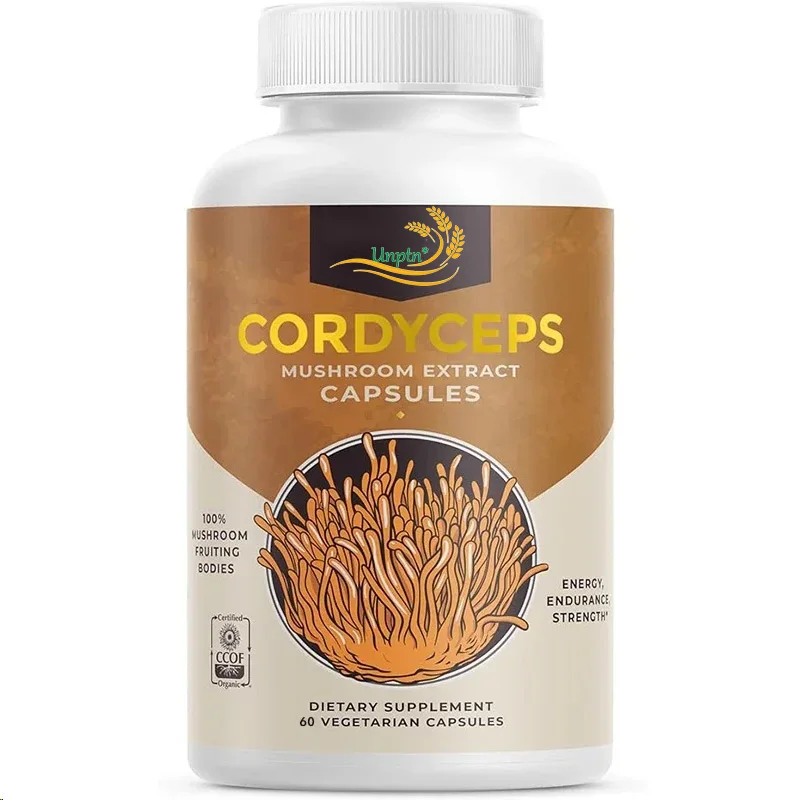 Cordyceps Sinensis Capsules-Mushroom Extract, 60 Vegetarian Capsules