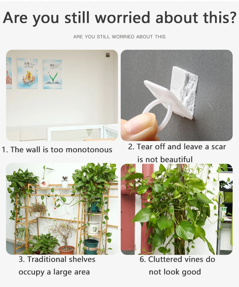 tuteur-lien-attache-clips-de-fixation-murale-pour-plantes
