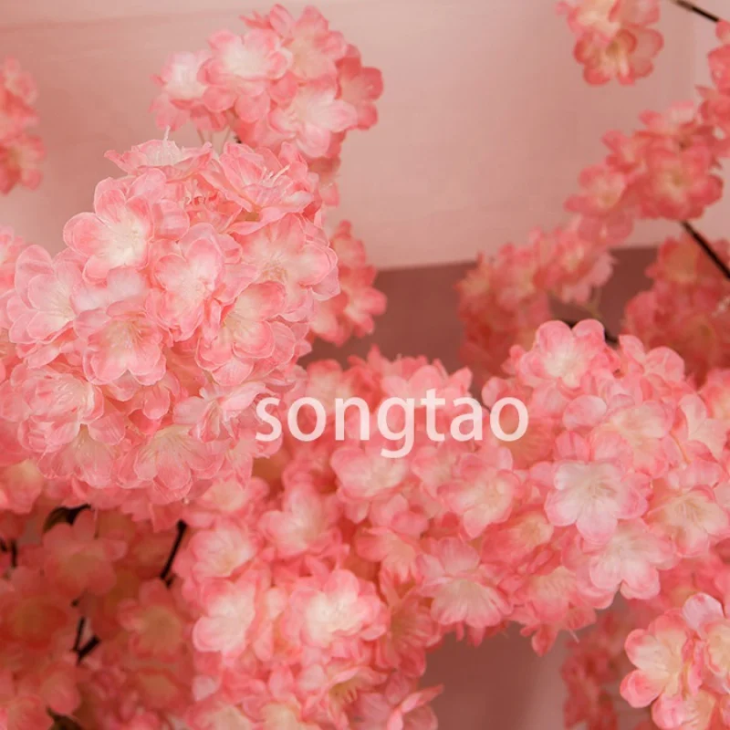 Рисунок 4 - Под заказ. songtao