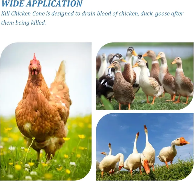 Cono Per Macellazione Polli - Taglia L, In Lamiera Zincata, Per Animali 3.5-6.5 Kg - Foto 4