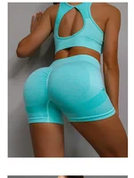 Women's Seamless Yoga Set Hollow Back Bra and Shorts