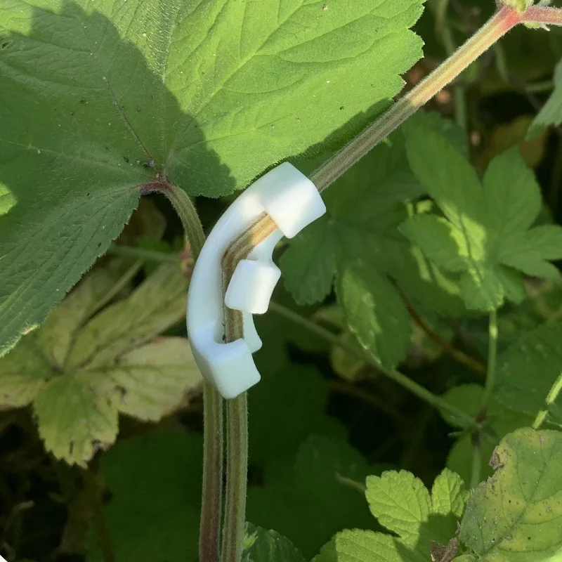 10/20/50pcs 90 Degree Plant Benders Trainer Growth Manipulation Tutors For Plants Clips Bending Twig Clamps Branche Accessories 5