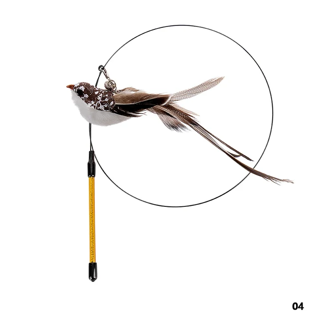 Image 22