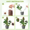 24/36/48 Inch Plastic Moss Pole for Monstera, Large D Shaped Poles Pot Climbing Plants Work Sphagnum Moss, Garden Growth Stake 5