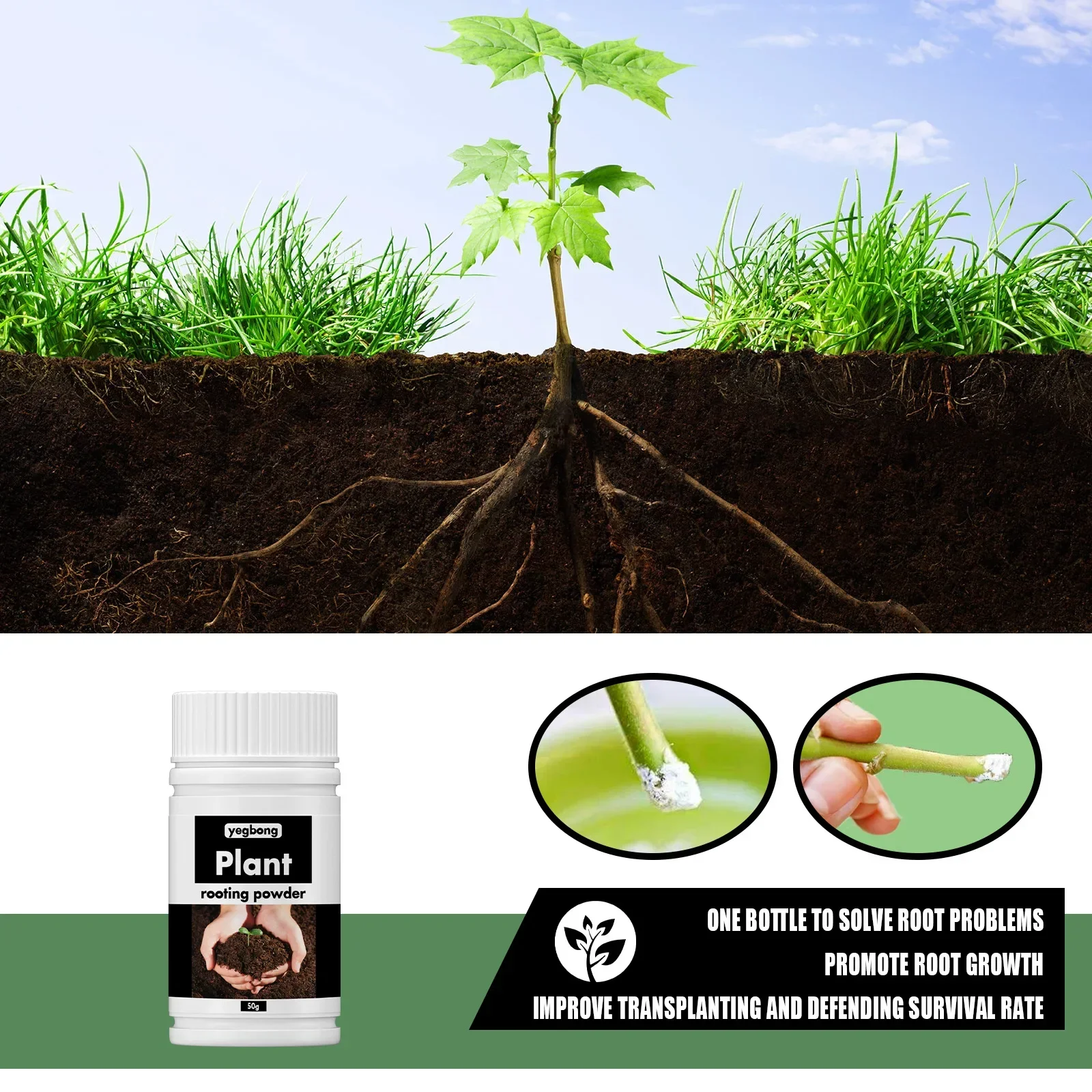 Rare Plant Rooting Powder for Fruit, Flower, Hydroponics