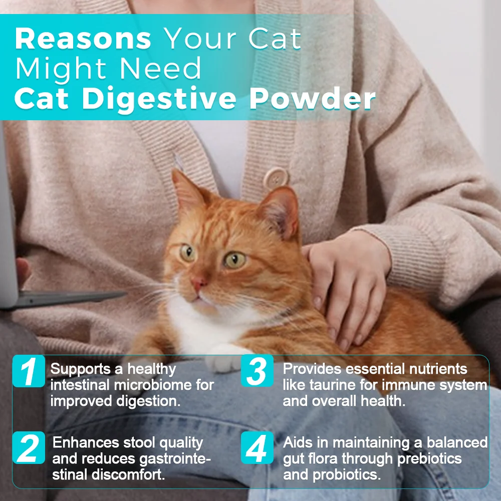 Cat Digestive Powder Natural Digestive Health Support for Cats Improve Gut Health and Digestion