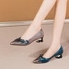 Women's Luxury Shoes Elegant Middle Heels Party PU Leather Pointed Pumps Ladies Wedding Shoes Bride Summer Work Soft Sole Autumn 1