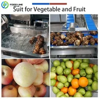 Laveuse à bulles personnalisée de qualité alimentaire pour fruits et légumes avec système de pulvérisation 6