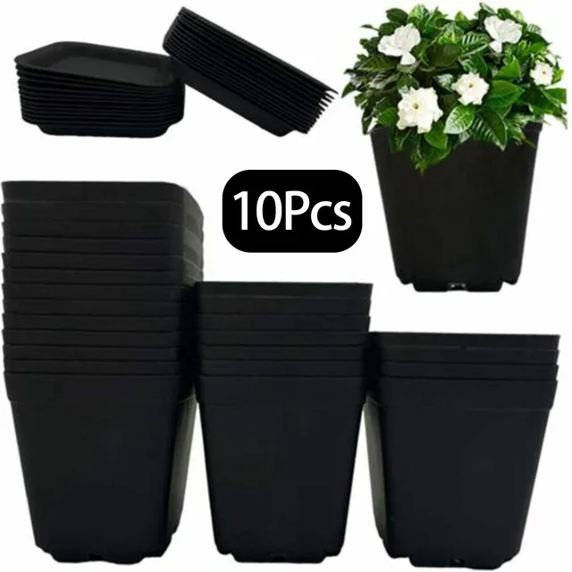 10Pcs black